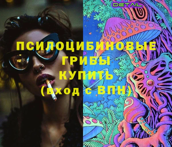 крисы Вязники