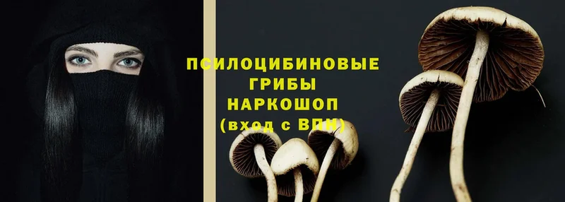 Галлюциногенные грибы MAGIC MUSHROOMS  купить наркоту  Мураши 