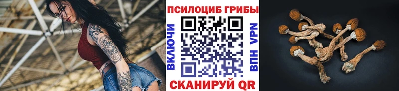 Псилоцибиновые грибы прущие грибы  Мураши 